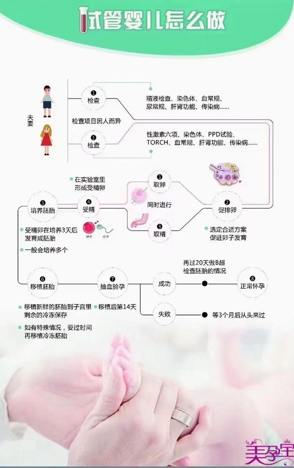 ​试管婴儿的步骤和注意事项有哪些